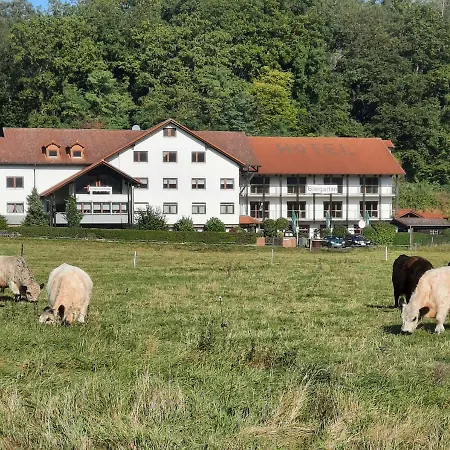 Landgasthof Rotlipp Gaestezimmer