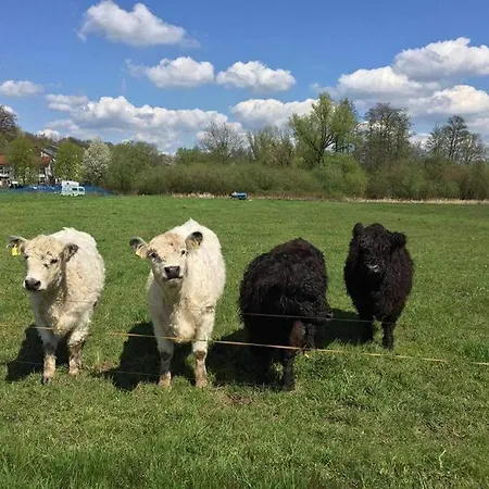 Landgasthof Rotlipp Gaestezimmer Hotel *