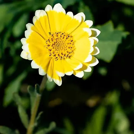 Hotel Landgasthof Rotlipp Gaestezimmer *