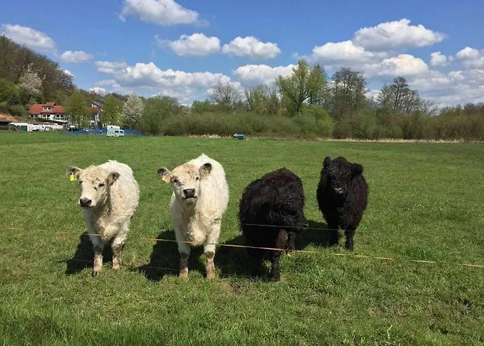Landgasthof Rotlipp Gaestezimmer Szálloda *