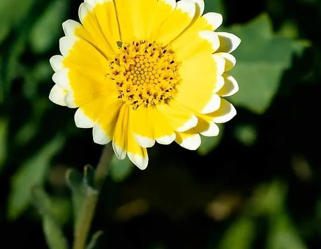 Szálloda Landgasthof Rotlipp Gaestezimmer *