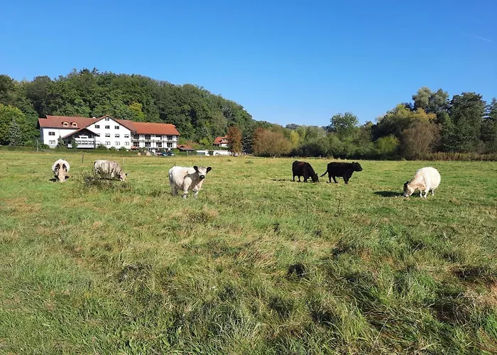 Landgasthof Rotlipp Gaestezimmer *